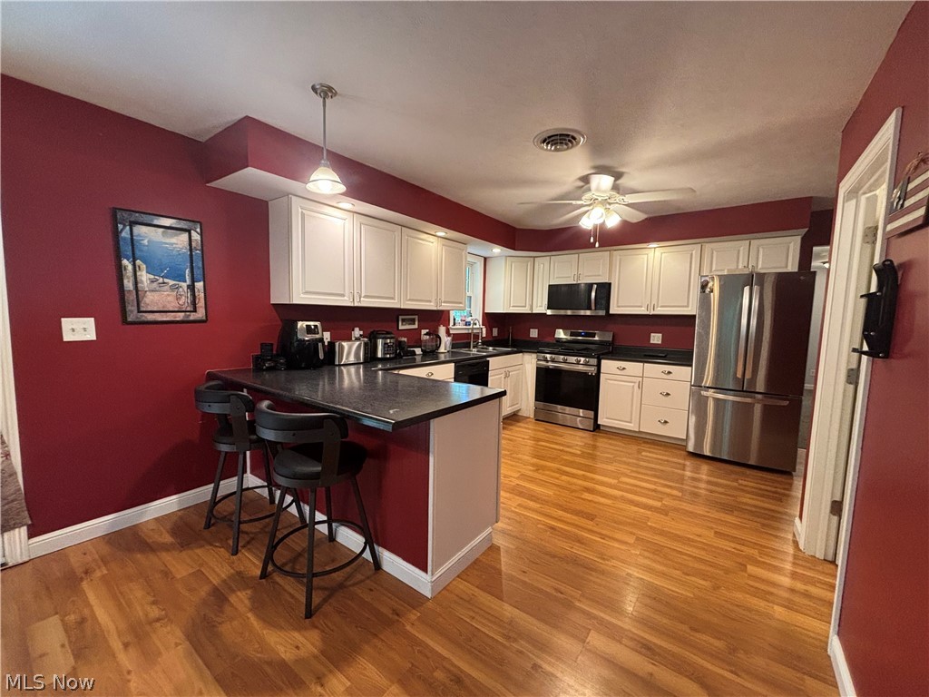 189 Ashtabula Point Roaming Shores OH 44084