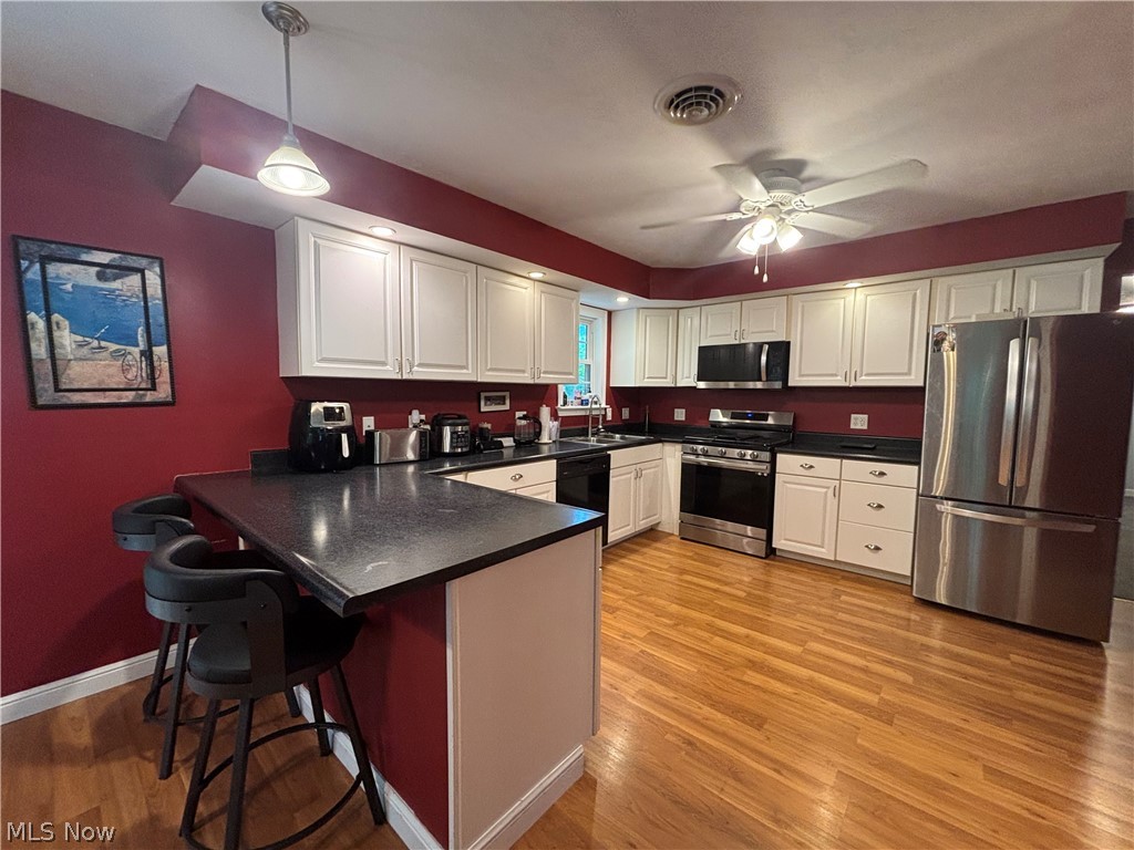 189 Ashtabula Point Roaming Shores OH 44084