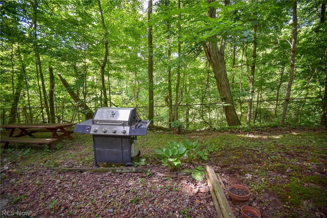 1683 Ridge Road Hinckley OH 44233