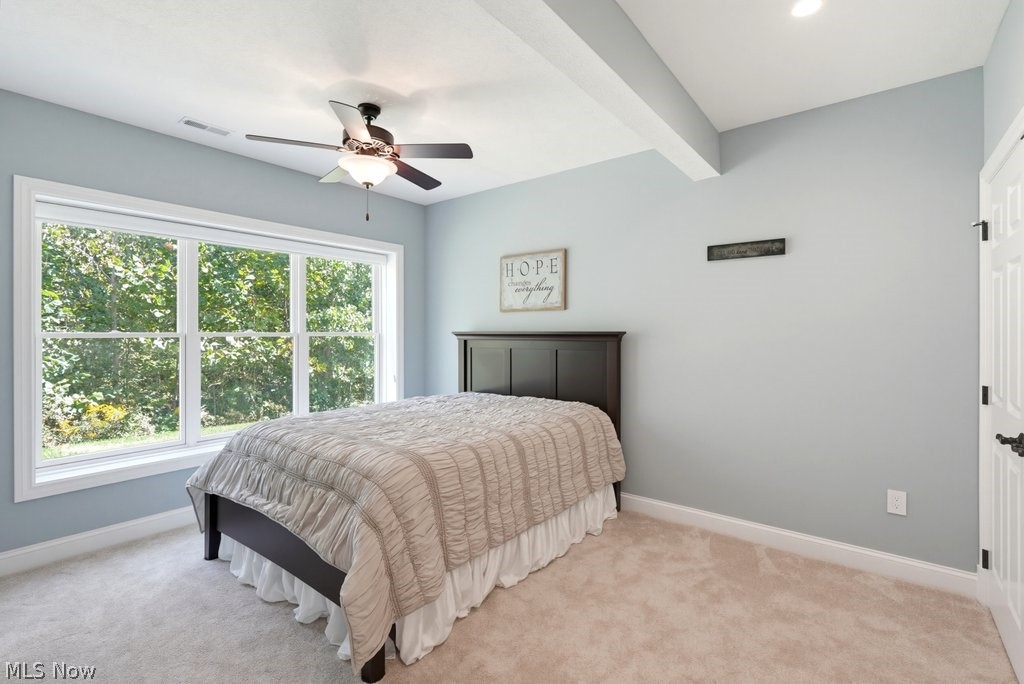 13461 Prescott Lane Strongsville OH 44136
