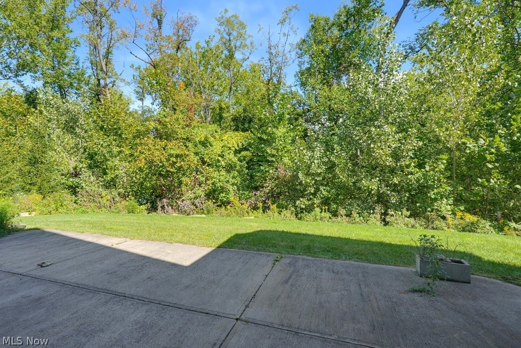 13461 Prescott Lane Strongsville OH 44136