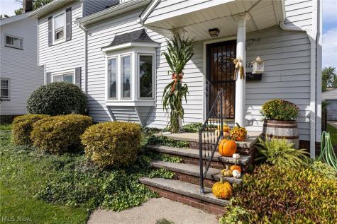 17200 Elsienna Avenue Cleveland OH 44135