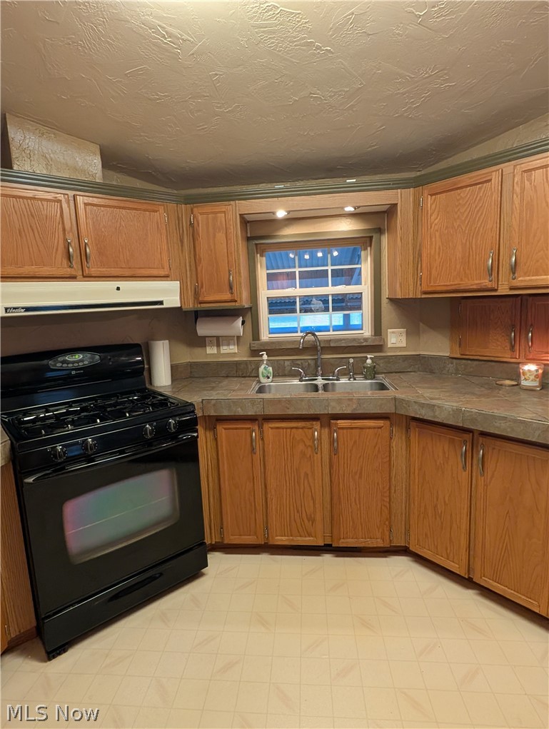 316 Britton Drive Geneva OH 44041