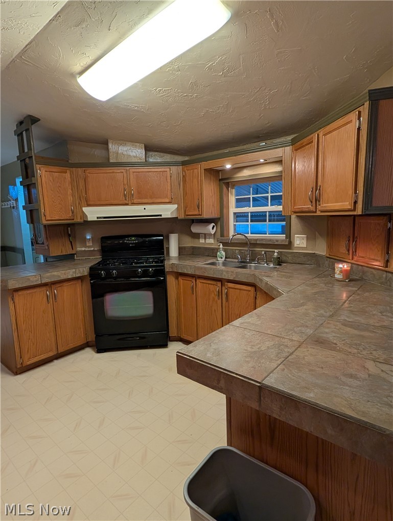316 Britton Drive Geneva OH 44041