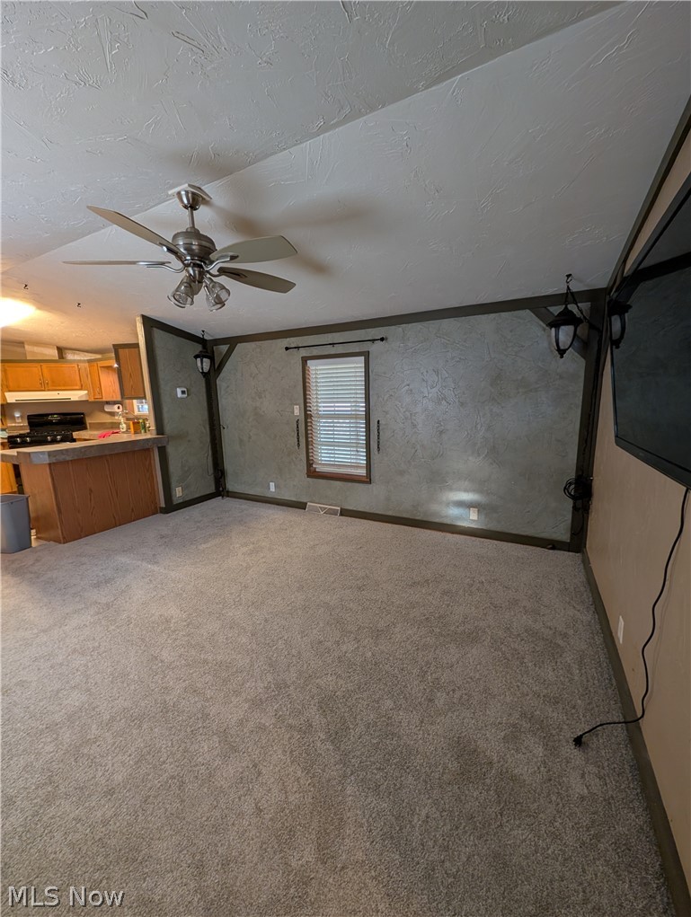 316 Britton Drive Geneva OH 44041