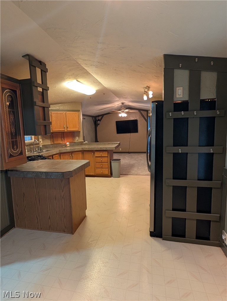 316 Britton Drive Geneva OH 44041