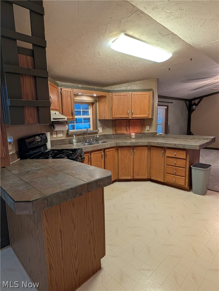 316 Britton Drive Geneva OH 44041