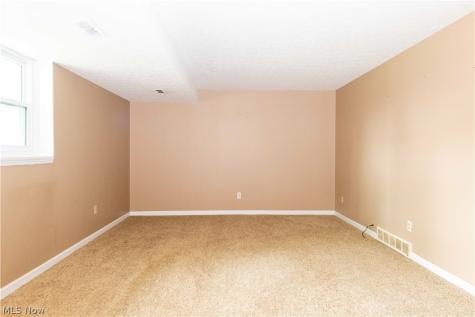 7299 Grant Street Mentor OH 44060