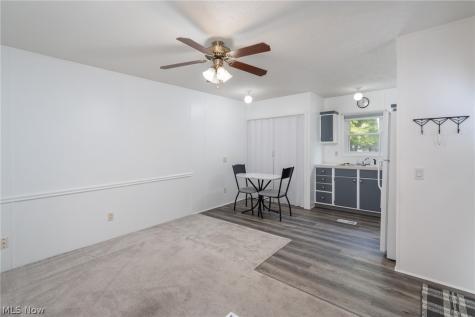 45 Flamingo Avenue Amherst OH 44001