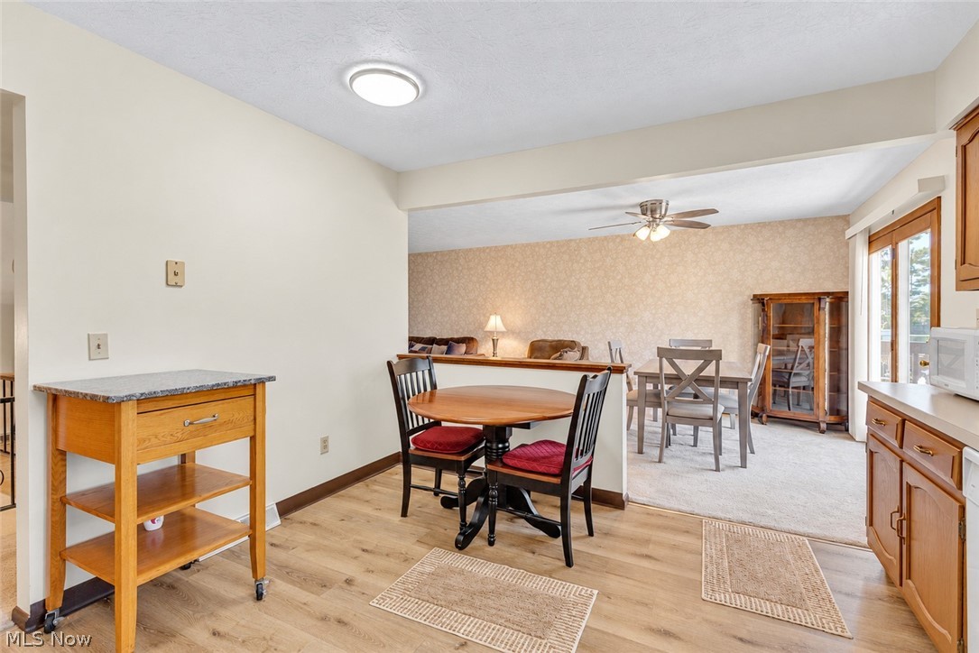 588 Sandra Drive Brunswick OH 44212
