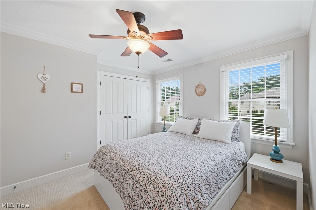 3840 Belle Terreno Way Canfield OH 44406