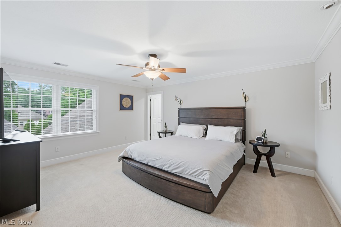 3840 Belle Terreno Way Canfield OH 44406