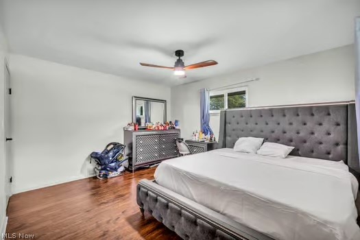 523 Jeannette Drive Richmond Heights OH 44143