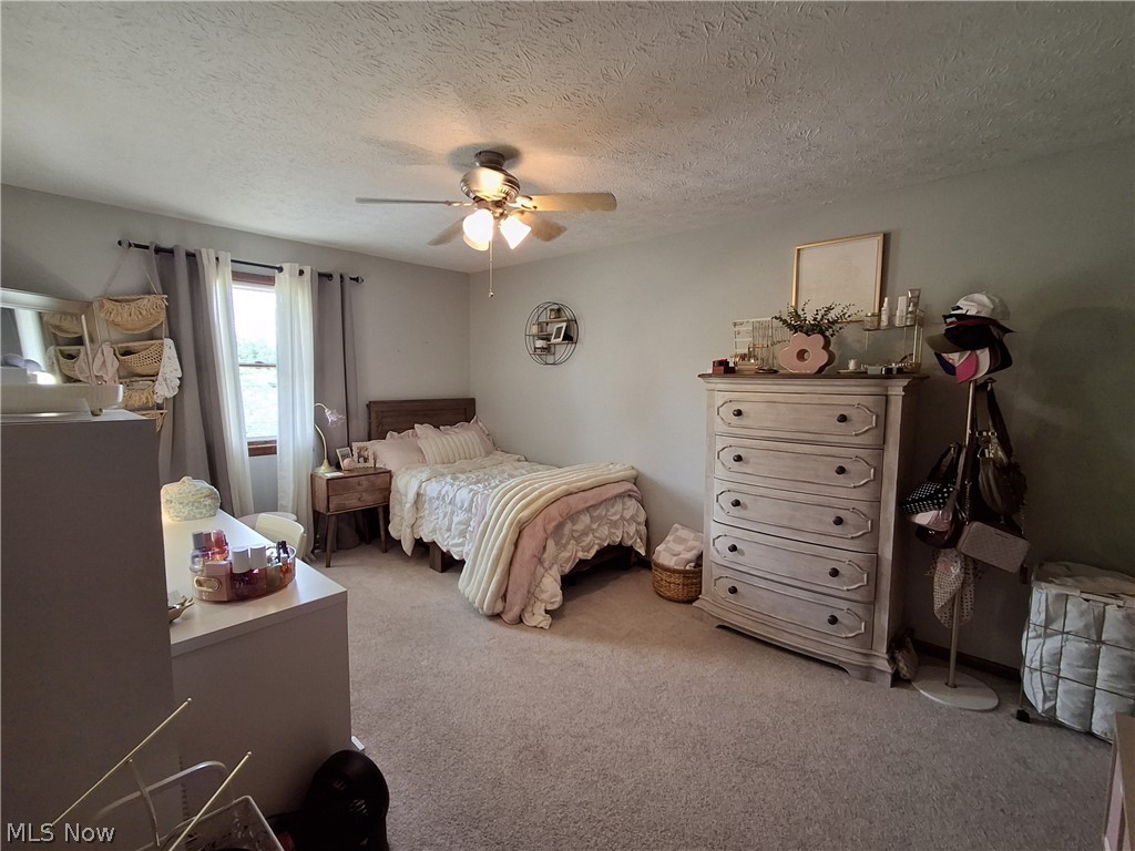 136 Tera Manor Wintersville OH 43953