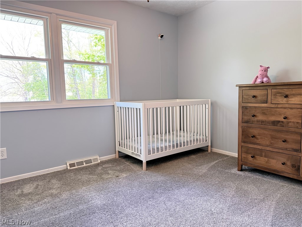 10239 Mulberry Road Chardon OH 44024