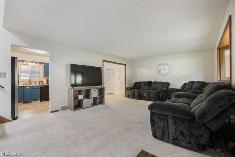 13795 Overcrest Street NE Alliance OH 44601