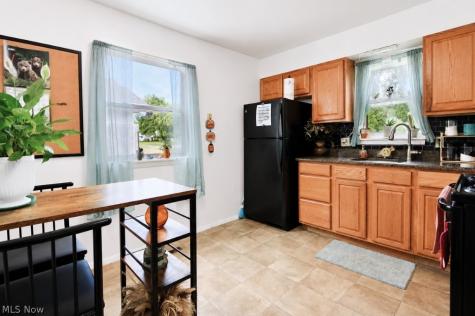 4738 Belle Meadow Road Mentor OH 44060