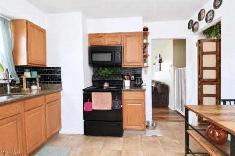 4738 Belle Meadow Road Mentor OH 44060