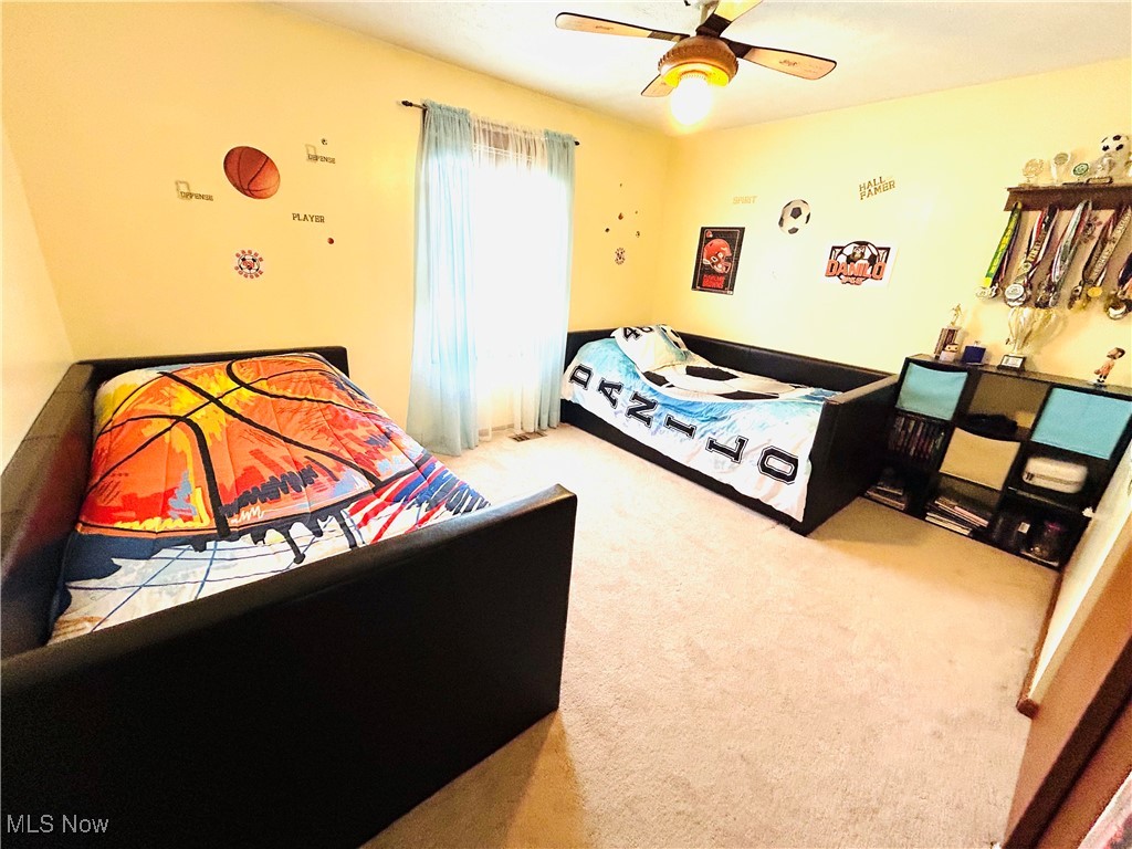 111 Magua Drive Akron OH 44319