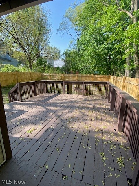 375 Lillian Street Akron OH 44307