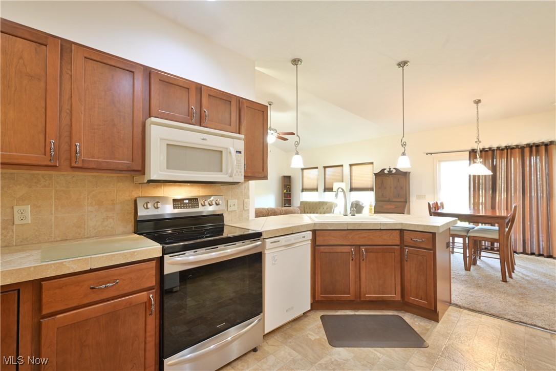 4833 Mandarin Drive Seville OH 44273