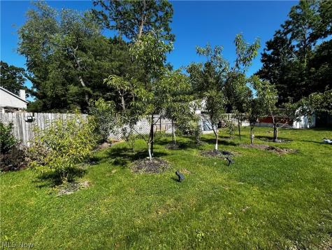 3105 Charles Street Cuyahoga Falls OH 44221