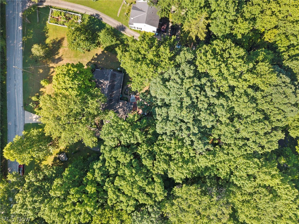 14474 Mill Hollow Lane Strongsville OH 44136