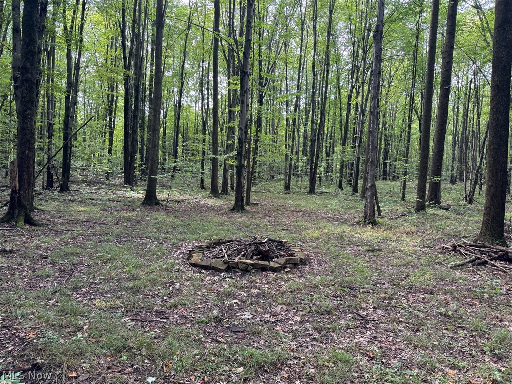 919 Horton Road Conneaut OH 44030