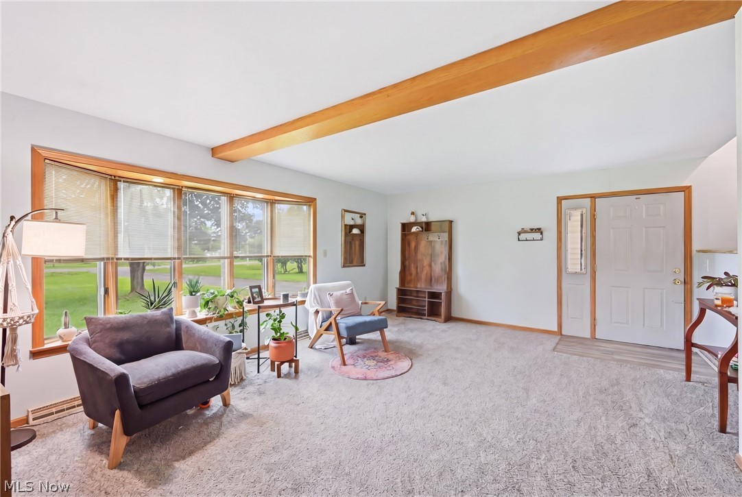 6667 Chestnut Ridge Road Hubbard OH 44425