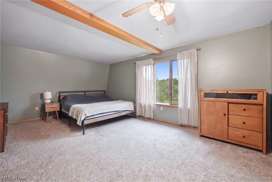 6667 Chestnut Ridge Road Hubbard OH 44425