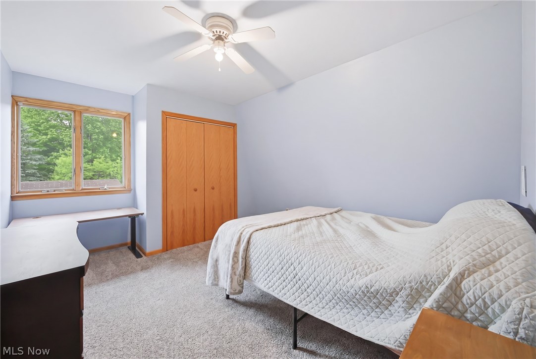 6667 Chestnut Ridge Road Hubbard OH 44425