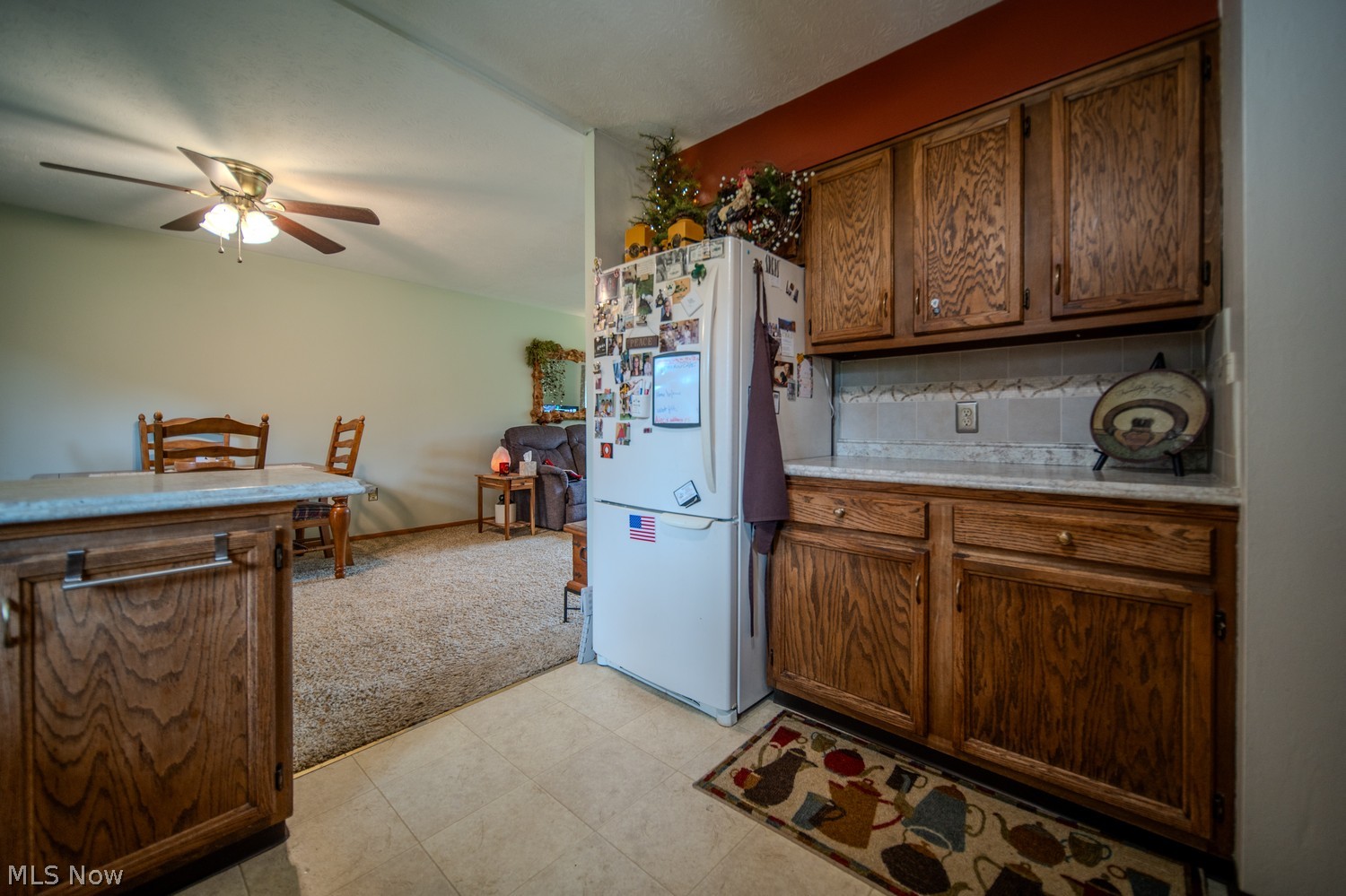 136 Albert Horning Road Atwater OH 44201