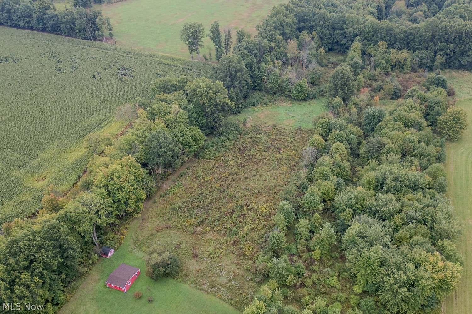 136 Albert Horning Road Atwater OH 44201