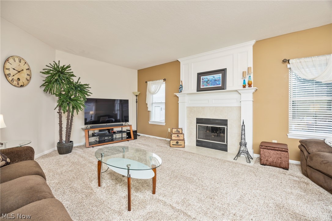 5684 Trystin Tree Drive Medina OH 44256