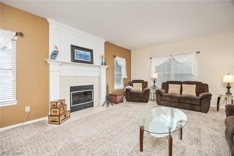 5684 Trystin Tree Drive Medina OH 44256