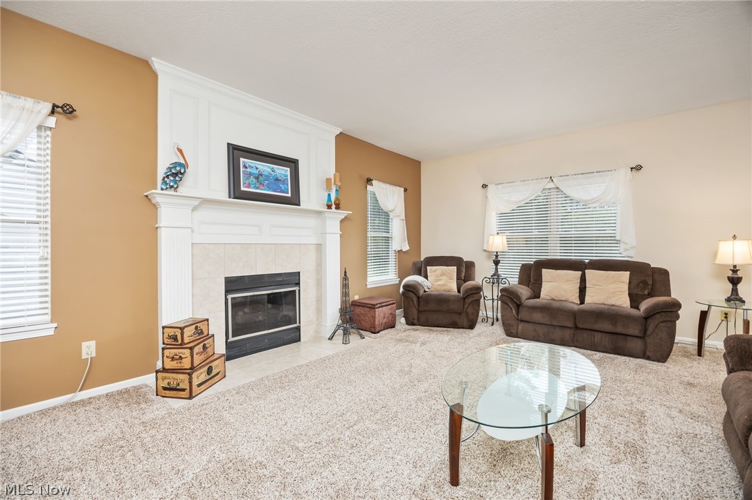 5684 Trystin Tree Drive Medina OH 44256