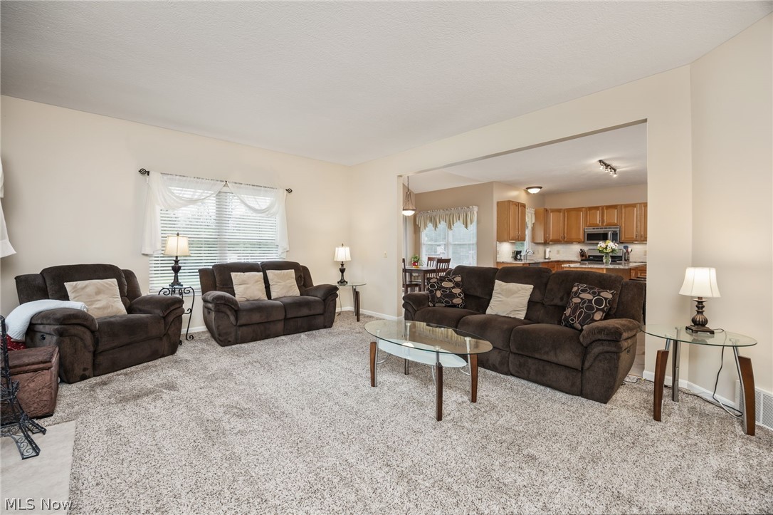5684 Trystin Tree Drive Medina OH 44256