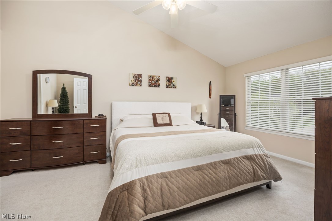 5684 Trystin Tree Drive Medina OH 44256