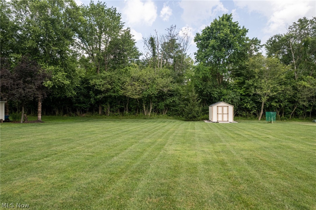5684 Trystin Tree Drive Medina OH 44256
