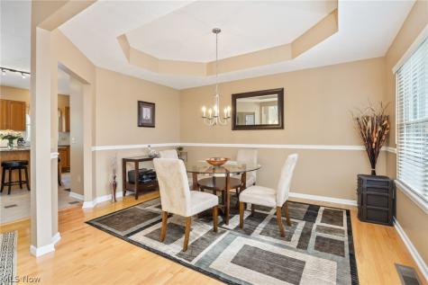 5684 Trystin Tree Drive Medina OH 44256