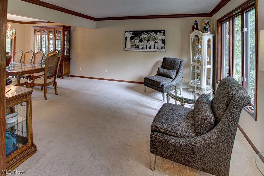 77 Carr Road Hinckley OH 44233