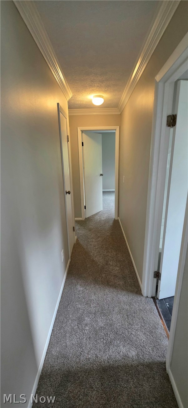 252 Saxe Road Mogadore OH 44260