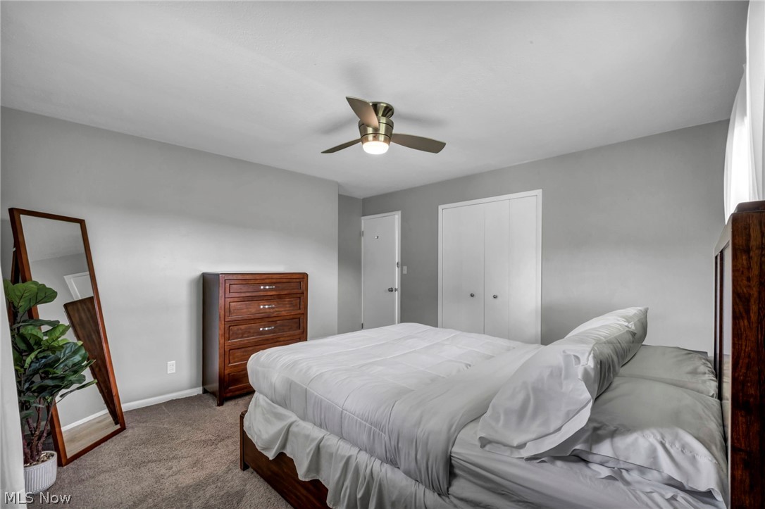 23733 Shurmer Drive Warrensville Heights OH 44128