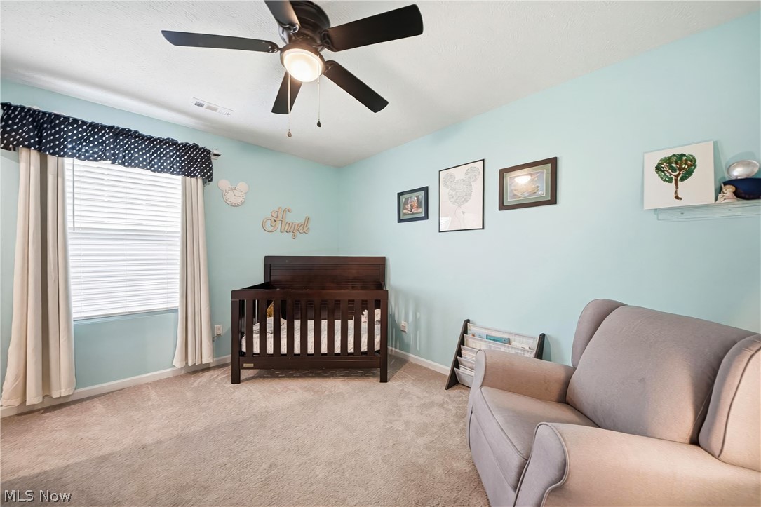 3527 Patterson Circle Richfield OH 44286