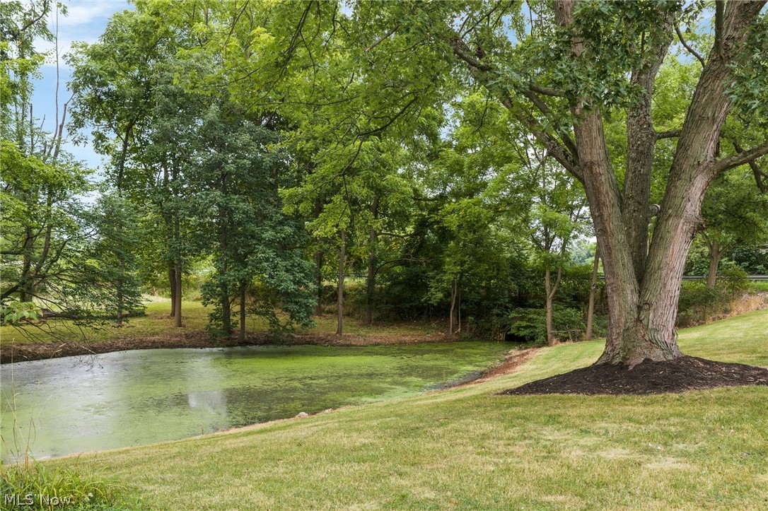 8035 High Mill Avenue NW Canal Fulton OH 44614