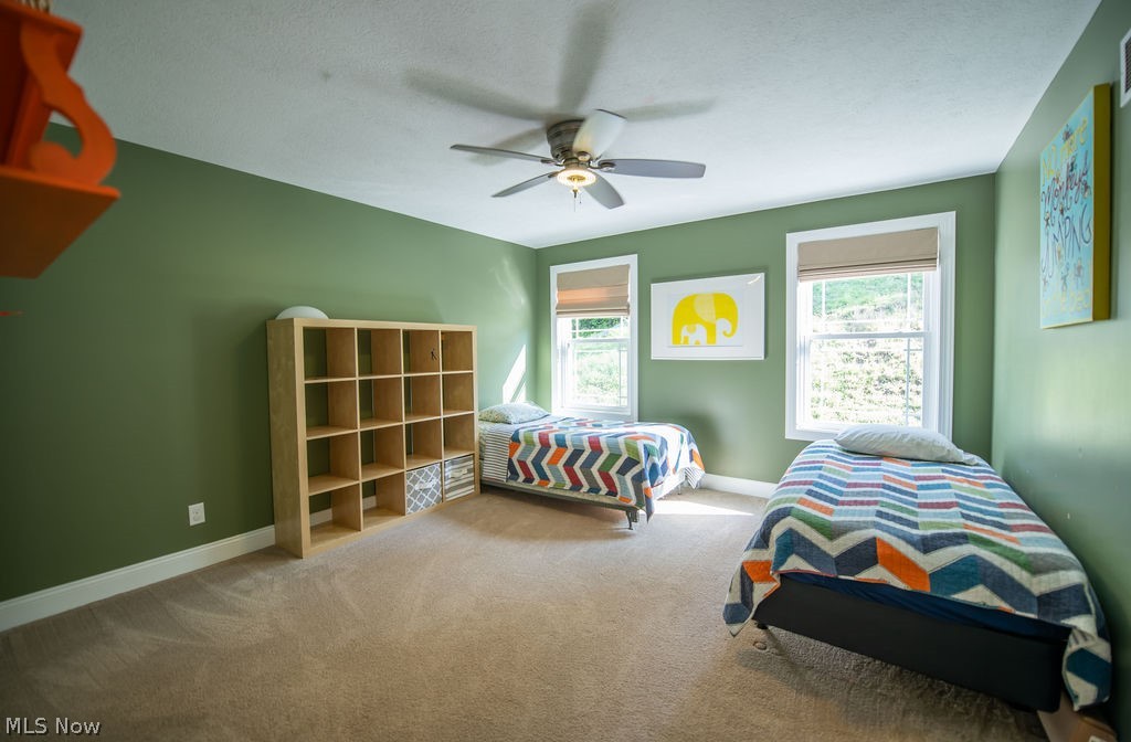 5234 Ribbon Road SW Bowerston OH 44695