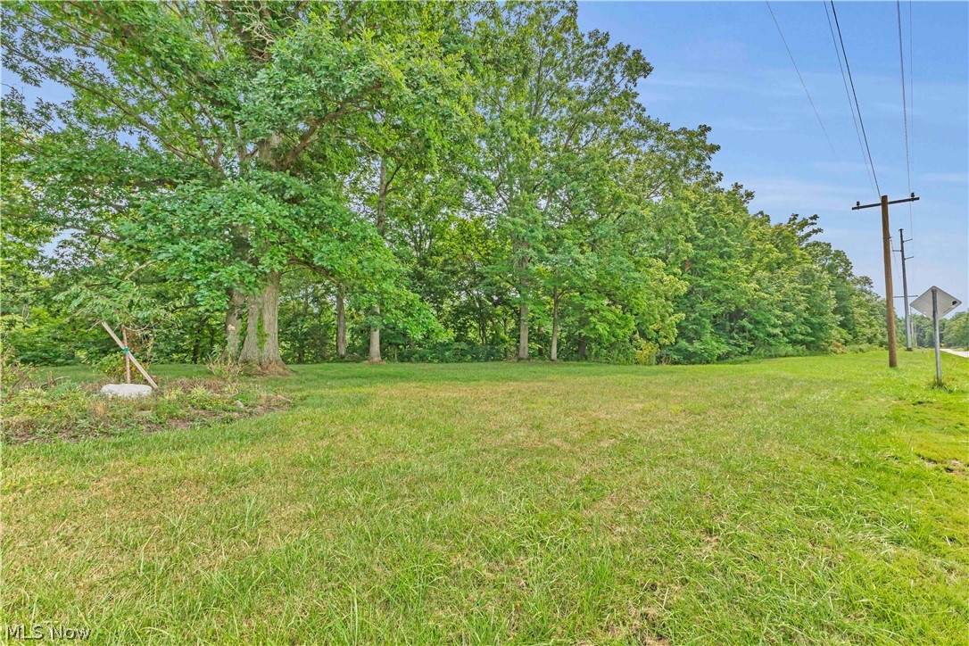 19971 Indian Hollow Road Wellington OH 44090