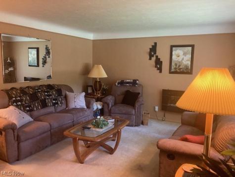 36889 Kinzel Road Avon OH 44011