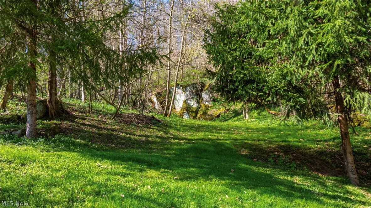 10155 Old River Road Blue Rock OH 43720