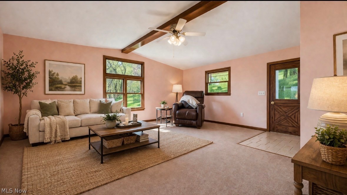 10155 Old River Road Blue Rock OH 43720